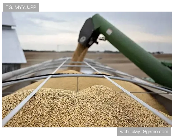 停购令生效,美国大豆出口受阻,美国大豆期末库存 停购令生效,美国大豆出口受阻,美国大豆期末库存